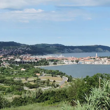 Lucky 7 * איזולה