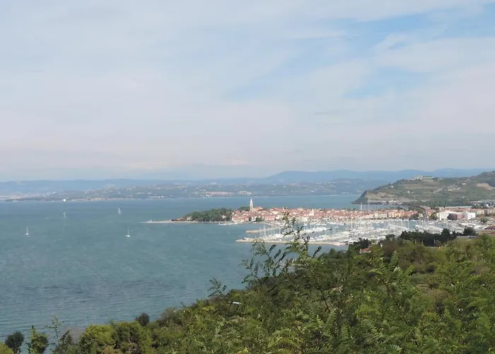 アパート Lucky 7 イゾラ