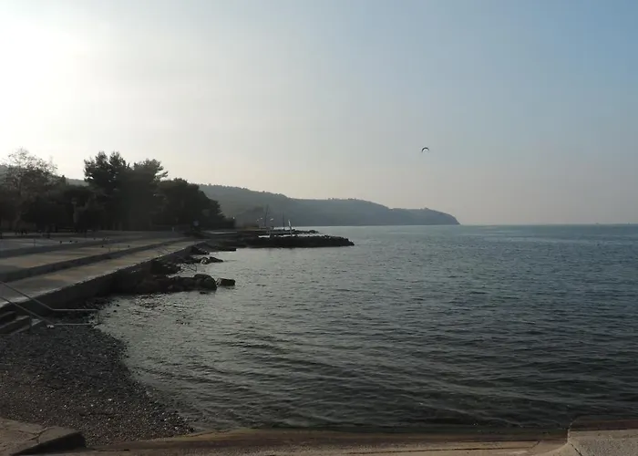 アパート Lucky 7 *